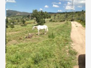 Terreno en Venta en Epazoyucan Centro Epazoyucan