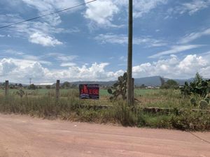 Terreno en Venta en Acatlan Centro Acatlán