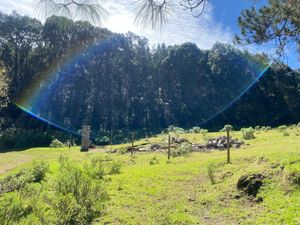 Terreno en Venta en Omitlán de Juárez Centro Omitlán de Juárez