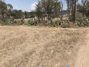 Terreno en Venta en Ex-hacienda de Tecajete Zempoala