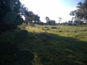 Terreno en Venta en Acopinalco Apan