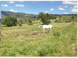 Terreno en Venta en Epazoyucan Centro Epazoyucan