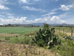 Terreno en Venta en Acatlan Centro Acatlán