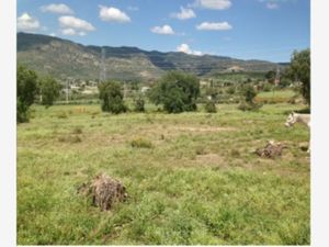 Terreno en Venta en Epazoyucan Centro Epazoyucan