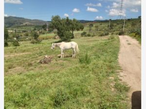 Terreno en Venta en Epazoyucan Centro Epazoyucan