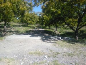 Finca/Rancho en Venta en Agua de los Padres Parras