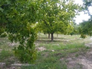 Finca/Rancho en Venta en Agua de los Padres Parras