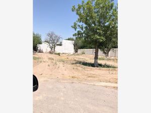 Terreno en Venta en Las Trojes Torreón