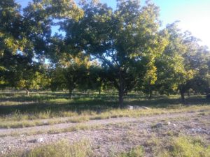 Finca/Rancho en Venta en Agua de los Padres Parras