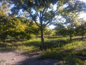 Finca/Rancho en Venta en Agua de los Padres Parras