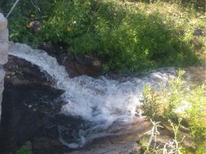 Finca/Rancho en Venta en Agua de los Padres Parras