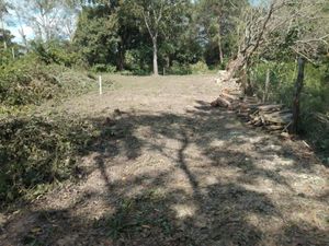 Terreno en Venta en San Luis Jalpa de Méndez