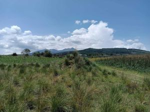 Terreno en Venta en Santa Cruz Cuauhtenco Zinacantepec