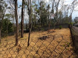 Terreno en Venta en Loma del Rio Nicolás Romero