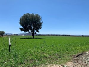 Finca/Rancho en Venta en San Miguel del Guaricho Romita