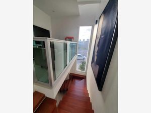 Casa en Venta en Irapuato Centro Irapuato