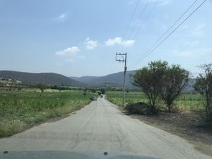 Finca/Rancho en Venta en La Mezquitera (El Astillero) Tlaquiltenango