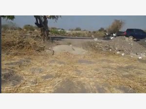 Terreno en Venta en Tequesquitengo Jojutla