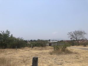 Terreno en Venta en Tlatenchi Jojutla