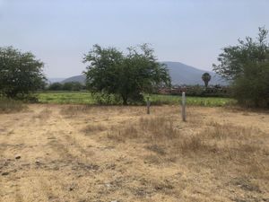 Terreno en Venta en Tlatenchi Jojutla