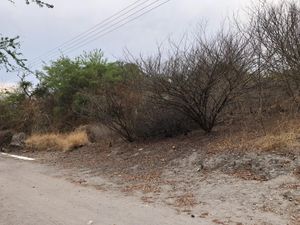 Terreno en Venta en Tlatenchi Jojutla