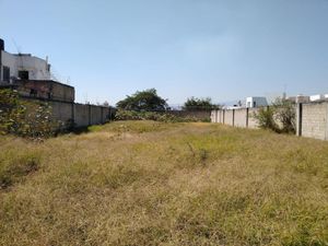 Terreno en Venta en Del Bosque Jojutla