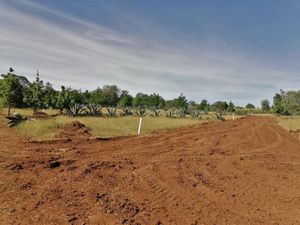 Terreno en Venta en Huasca de Ocampo Centro Huasca de Ocampo