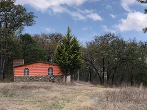 Terreno en Venta en Huasca de Ocampo Centro Huasca de Ocampo