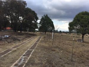 Terreno en Venta en Huasca de Ocampo Centro Huasca de Ocampo