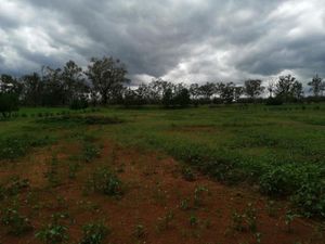 Terreno en Venta en Huasca de Ocampo Centro Huasca de Ocampo