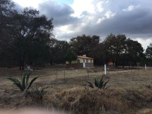 Terreno en Venta en Huasca de Ocampo Centro Huasca de Ocampo