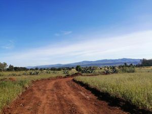 Terreno en Venta en Huasca de Ocampo Centro Huasca de Ocampo