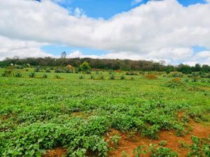 Terreno en Venta en Huasca de Ocampo Centro Huasca de Ocampo