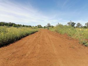 Terreno en Venta en Huasca de Ocampo Centro Huasca de Ocampo