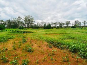 Terreno en Venta en Huasca de Ocampo Centro Huasca de Ocampo