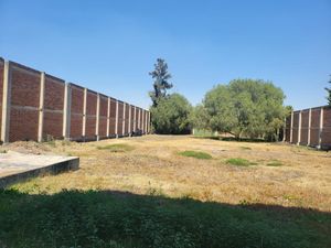 Bodega en Venta en San Vicente Chicoloapan de Juárez Centro Chicoloapan