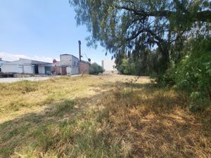 Terreno en Venta en Los Reyes Acaquilpan Centro La Paz