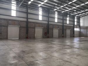 Bodega en Renta en La Purificación Tepetitla Texcoco