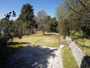 Terreno en Venta en La Purificación Tepetitla Texcoco