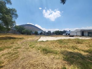 Terreno en Venta en Los Reyes Acaquilpan Centro La Paz