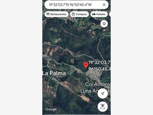 Terreno en Venta en La Palma Xalapa