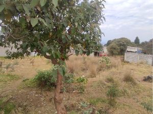 Terreno en Venta en San Salvador Cuauhtenco Milpa Alta