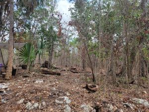 Terreno en Venta en Natura Playa del Carmen Solidaridad