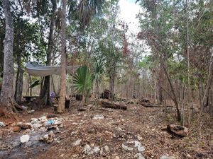 Terreno en Venta en Natura Playa del Carmen Solidaridad