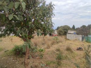 Terreno en Venta en San Salvador Cuauhtenco Milpa Alta