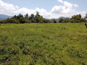 Terreno en Venta en Jalmolonga (La Hacienda) Malinalco