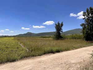 Terreno en Venta en Rojas de Cuauhtemoc Rojas de Cuauhtémoc