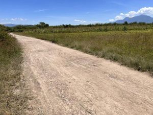 Terreno en Venta en Rojas de Cuauhtemoc Rojas de Cuauhtémoc