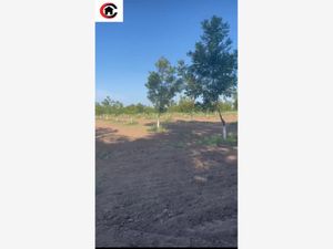 Finca/Rancho en Venta en Lazaro Cardenas Meoqui