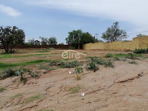 Terreno en Venta en Los Guayabos Zapopan